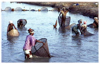 Femmes casamançaises qui pêchent