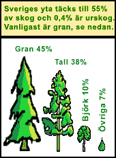 I Sverige täcker skogen drygt 55 % av landarealen. Den största delen av skogen används för produktivt skogsbruk och bara 0,4 % är ren urskog. De trädslag som dominerar är gran 45 % och tall 38 %, därefter kommer björken 10 %. I Sveriges södra delar finns också ädellövskogar bestående av ek och bok. Övriga lövträn finns mer el. mindre i s.k. blandskogar.