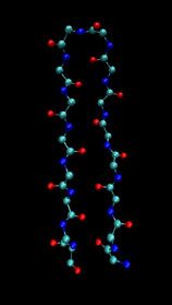 bild: Två segment av enpolypeptid-kedja bildar här en ß-truktur. Bilden visar en del av enzymet lysozym.