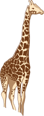 Bild På Giraff